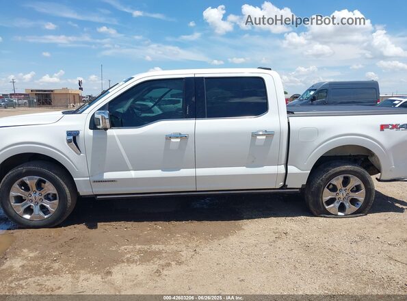 1FTFW1ED1PFB26840 2023 FORD F150 White 