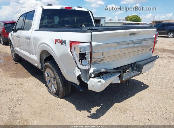 1FTFW1ED1PFB26840 2023 FORD F150 White 