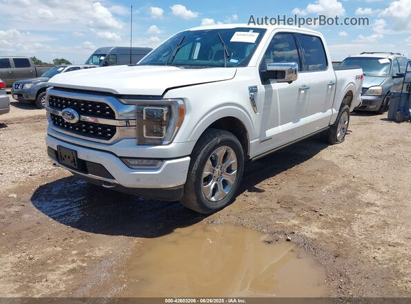 1FTFW1ED1PFB26840 2023 FORD F150 White 