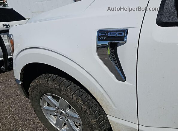 1FTFX1E59MKF07537 2021 FORD F150  Widok wnętrza z tyłu
