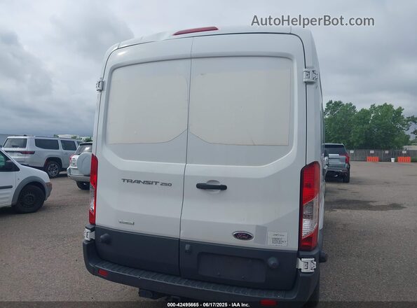 1FTYR2CG2HKA76218 2017 FORD TRANSIT-250 Белый 