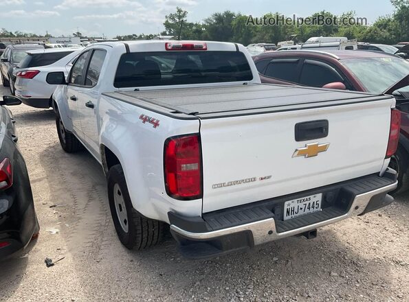 1GCGTBEN8L1146859 2020 CHEVROLET COLORADO  Вид ззаду