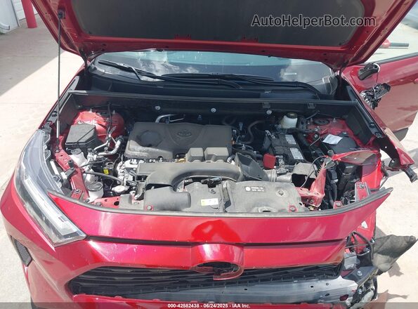 2T3P1RFV4RW487635 2024 TOYOTA LE Red Widok z tyłu
