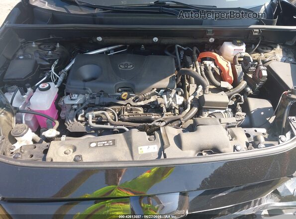 2T3UWRFV6RW222462 2024 TOYOTA RAV4 HYBRID Black Widok z tyłu
