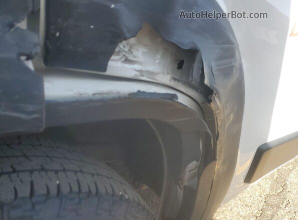 3C6TRVAG6LE131481 2020 RAM PROMASTER 1500  Rear view