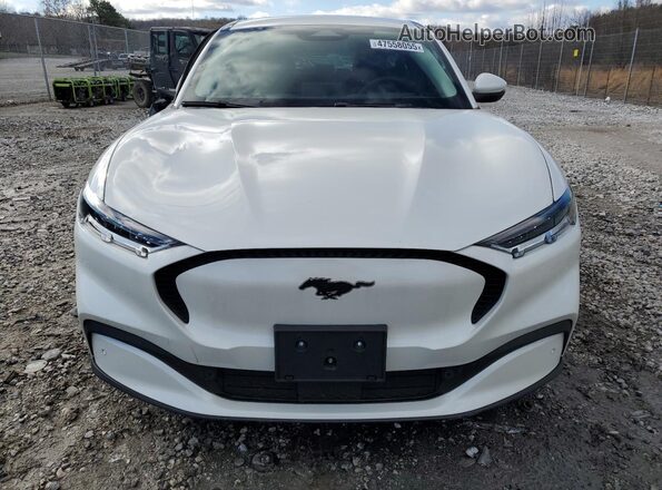 3FMTK1SS9MMA34674 2021 FORD MUSTANG White Widok z przodu