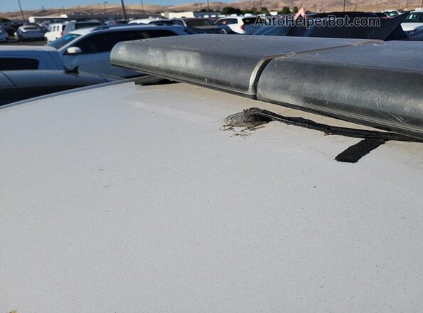 3GNAXKEV2ML357230 2021 CHEVROLET EQUINOX  Հետևի աջ