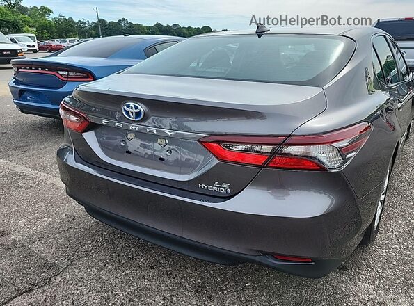 4T1C31AK3PU611245 2023 TOYOTA LE  