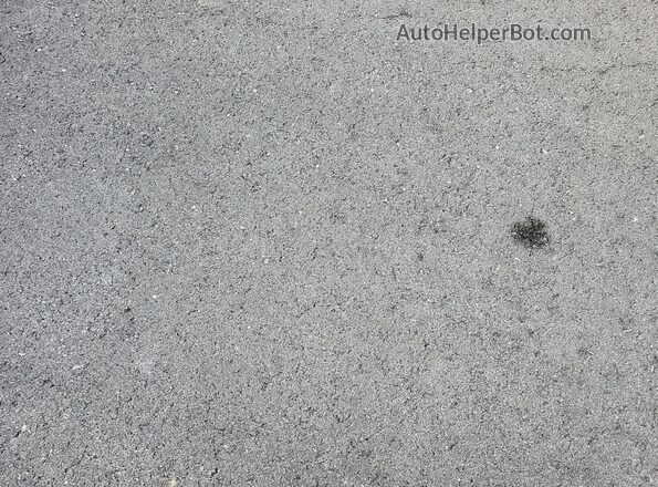 4T1C31AKXMU557390 2021 TOYOTA LE  Вид подкапотного пространства