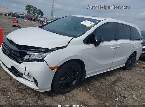 5FNRL6H70RB020315 2024 HONDA ODYSSEY White Przód lewy