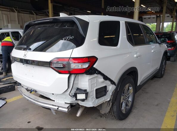 5FNYG1H49SB097666 2025 HONDA PILOT White 
