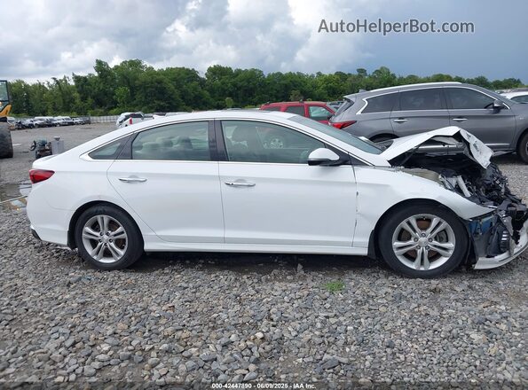 5NPE34AF9KH752647 2019 HYUNDAI SONATA White უკანა სალონის ხედი