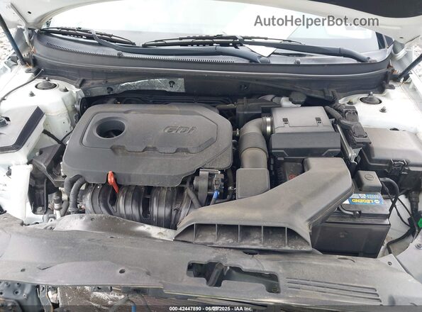 5NPE34AF9KH752647 2019 HYUNDAI SONATA White უკანა ხედი