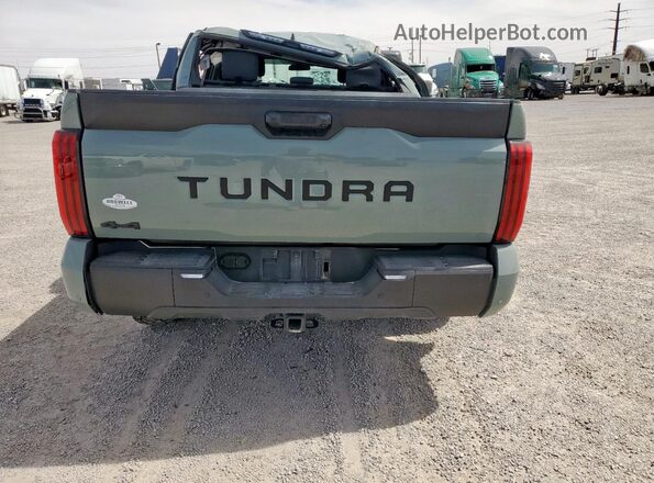 5TFLA5DB4SX257935 2025 TOYOTA TUNDRA Бирюзовый Вид сзади