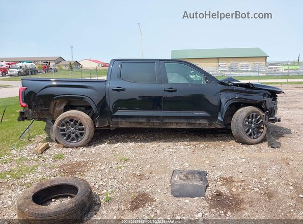 5TFNC5DB1RX043725 2024 TOYOTA TUNDRA HYBRID Черный Панорамный вид салона 360°