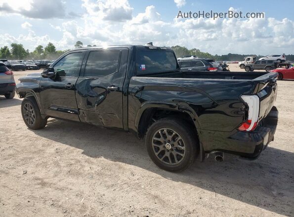 5TFNC5DB4RX083555 2024 TOYOTA TUNDRA Черный 