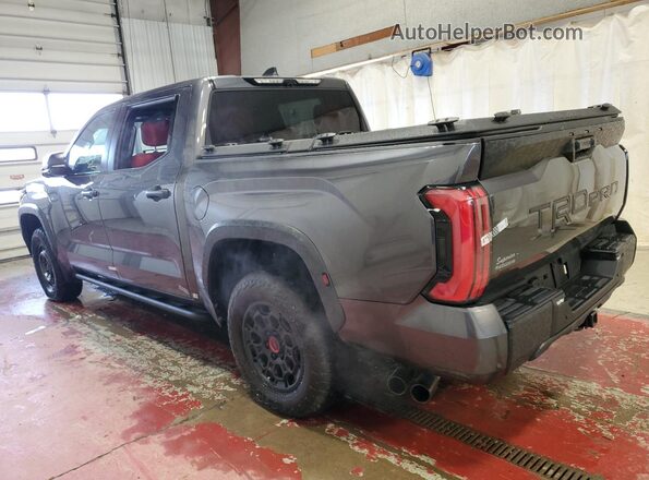 5TFPC5DB0RX054157 2024 TOYOTA LIMITED Gray Tył lewy