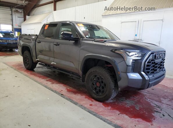 5TFPC5DB0RX054157 2024 TOYOTA LIMITED Gray Przód prawy