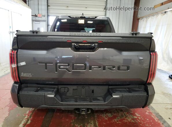 5TFPC5DB0RX054157 2024 TOYOTA LIMITED Gray Widok z tyłu