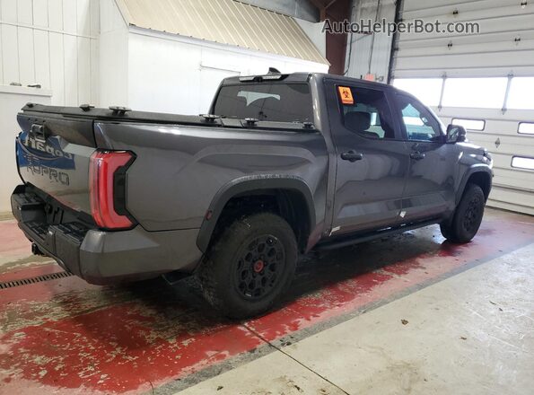 5TFPC5DB0RX054157 2024 TOYOTA LIMITED Gray Tył prawy