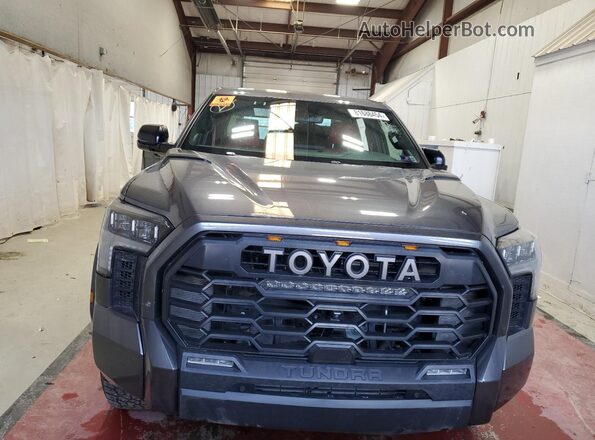 5TFPC5DB0RX054157 2024 TOYOTA LIMITED Gray Widok z przodu