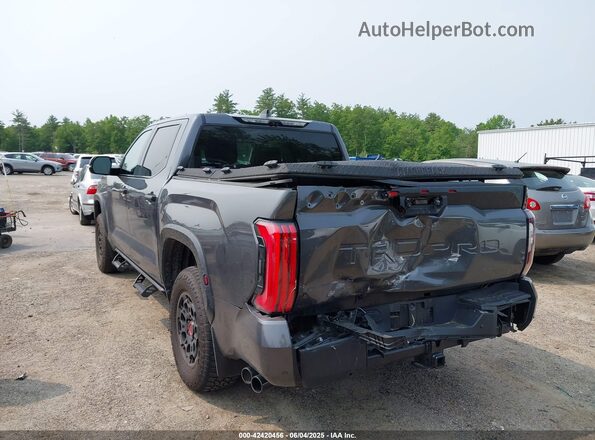 5TFPC5DB8PX030783 2023 TOYOTA TUNDRA HYBRID Gray Rear left
