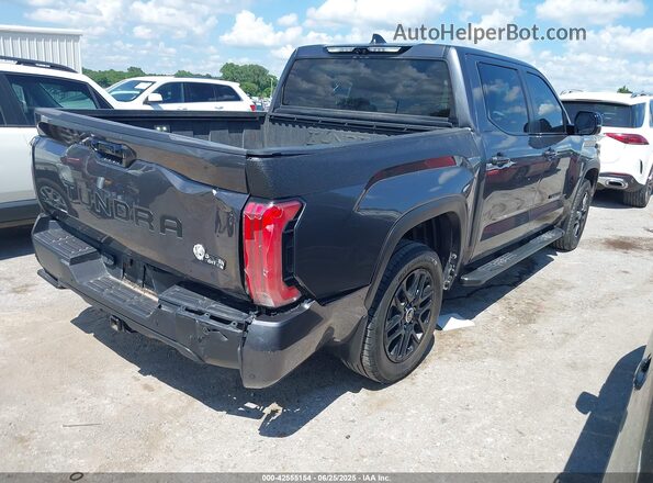 5TFWA5DB4RX171533 2024 TOYOTA LIMITED Gray უკანა მარჯვენა