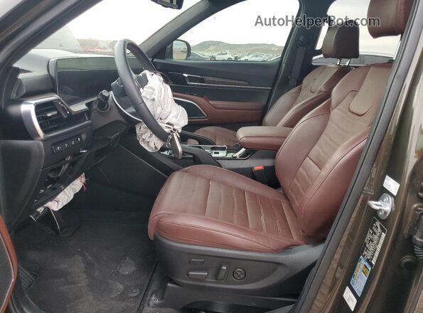 5XYP5DGC9RG411492 2024 KIA TELLURIDE Green 