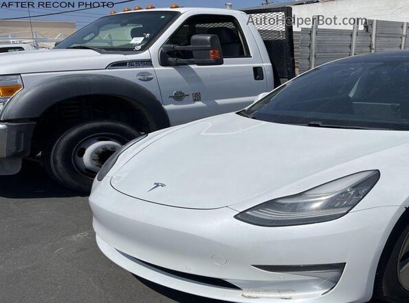 5YJ3E1EB3LF803115 2020 TESLA MODEL 3 White Tył lewy