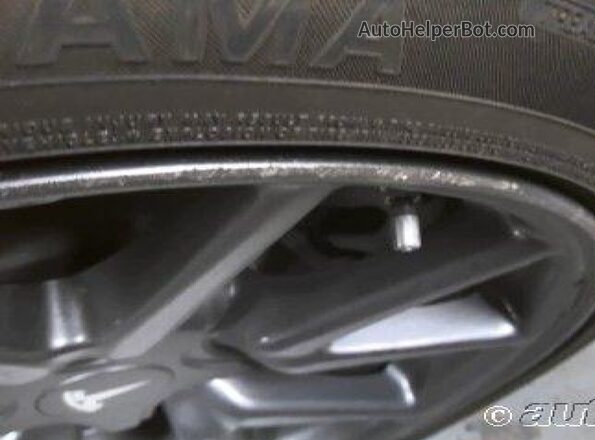 5YJ3E1EB5LF801057 2020 TESLA MODEL 3  Вид задних сидений