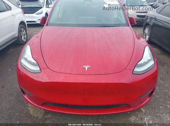 5YJYGDEE3MF092447 2021 TESLA MODEL Y Красный Вид сзади