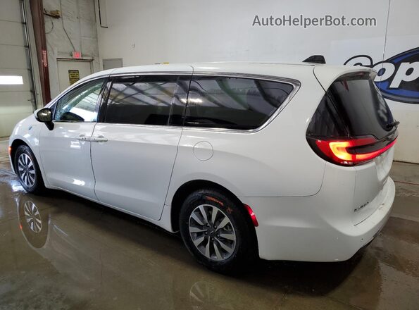 2C4RC1L75PR611607 2023 CHRYSLER PACIFICA White Tył prawy