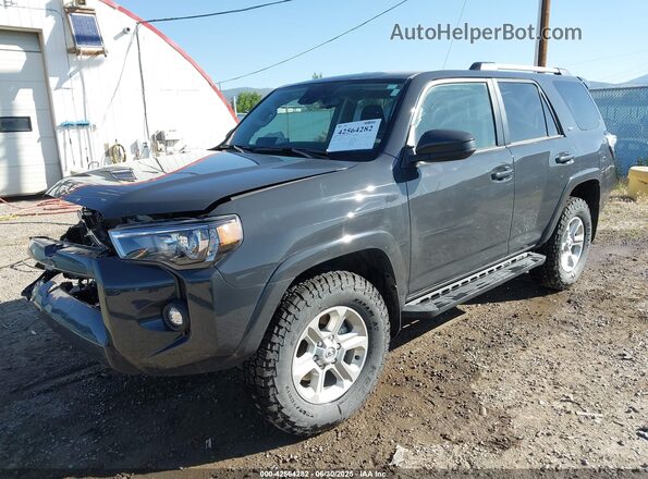 JTEMU5JR8R6301136 2024 TOYOTA 4RUNNER Gray 
