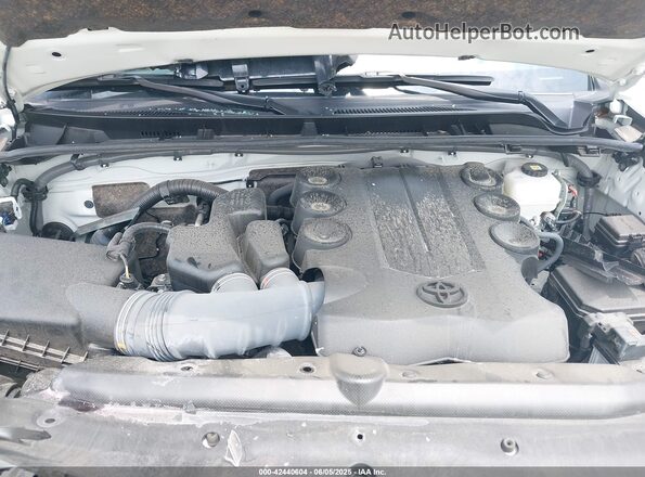 JTERU5JR8P6159308 2023 TOYOTA 4RUNNER White Widok z tyłu