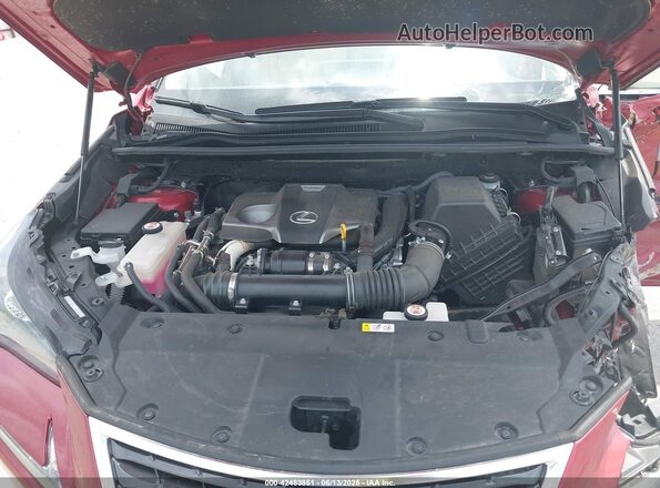 JTJDARDZXL2235863 2020 LEXUS NX 300 Red Vista trasera