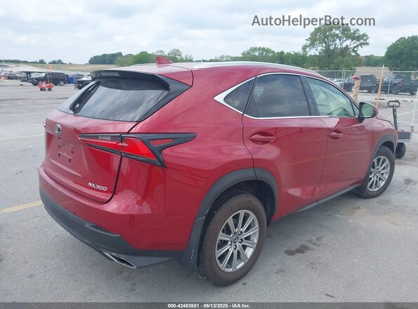 JTJDARDZXL2235863 2020 LEXUS NX 300 Red Trasero derecho