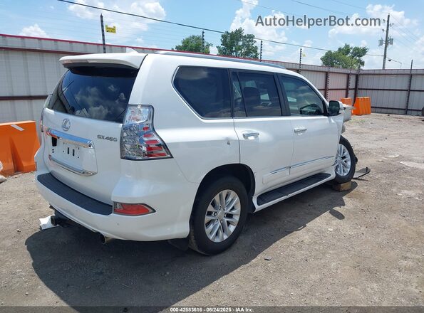 JTJJM7FX4H5177779 2017 LEXUS GX 460 Белый Задняя правая четверть