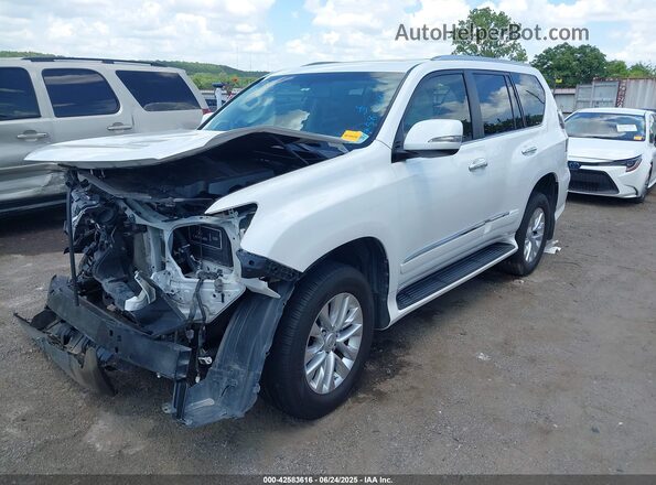 JTJJM7FX4H5177779 2017 LEXUS GX 460 Белый Передняя левая четверть