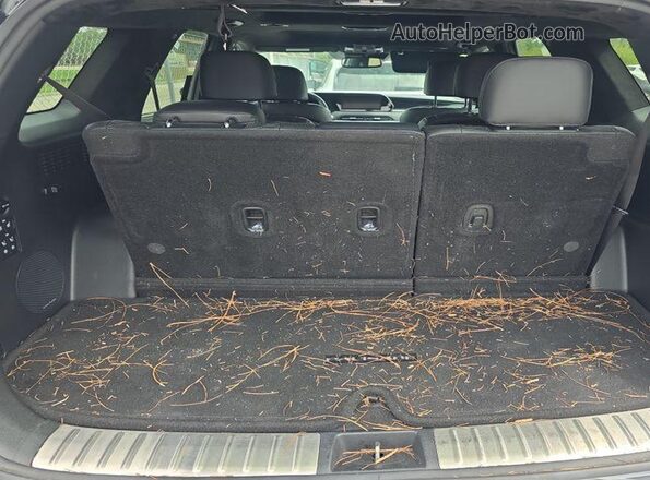 KM8R5DHE4LU071615 2020 HYUNDAI PALISADE  