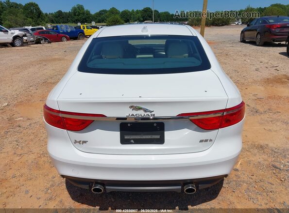 SAJBD4BV3HCY43828 2017 JAGUAR XF Белый 