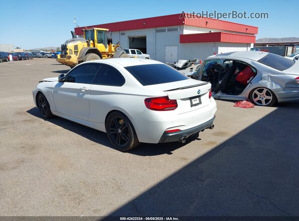 WBA2J5C02L7E01916 2020 BMW M2 White Задня ліва чверть