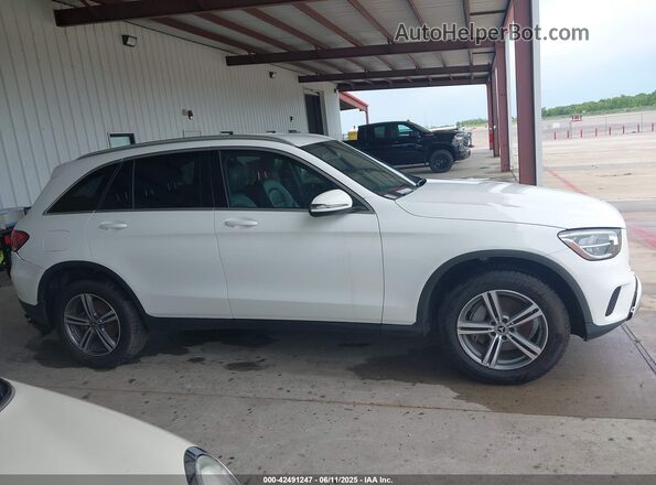 WDC0G8DB3LF695690 2020 MERCEDES-BENZ GLC 300 Белый Вид задней части салона