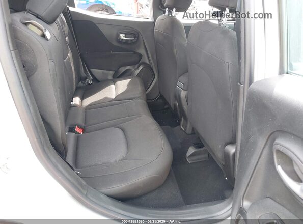 ZACNJDAB6MPN15656 2021 JEEP RENEGADE Silver Widok naklejki z numerem VIN