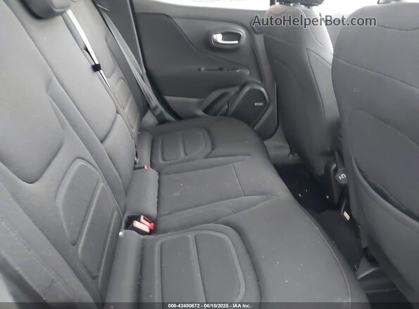 ZACNJDBB7MPN35803 2021 JEEP RENEGADE Gray Вид наклейки з VIN-кодом
