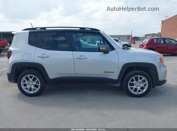 ZACNJDD10MPN29300 2021 JEEP RENEGADE Silver Սալոնի հետևի տեսք