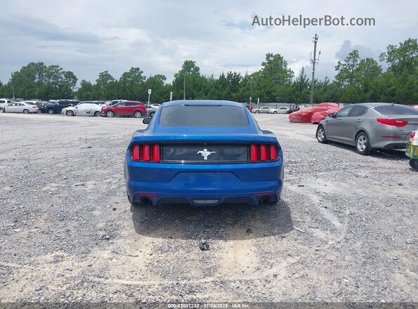 1FA6P8AMXH5342968 2017 FORD MUSTANG Blue 