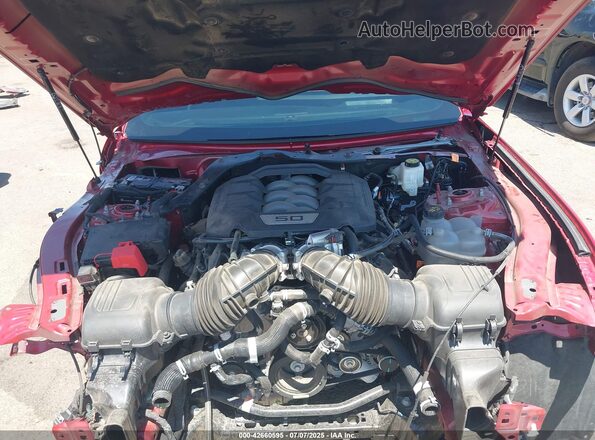 1FA6P8CF9R5407860 2024 FORD MUSTANG Red 
