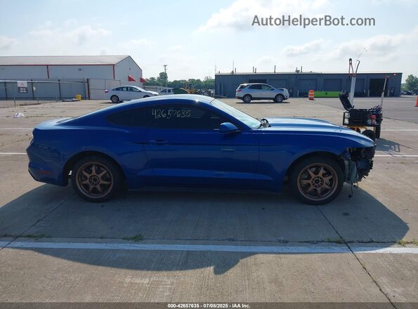 1FA6P8TH4H5335546 2017 FORD MUSTANG Blue Սալոնի 360 աստիճան տեսք