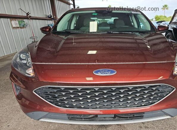 1FMCU9G64MUB24900 2021 FORD ESCAPE  Rear seats view