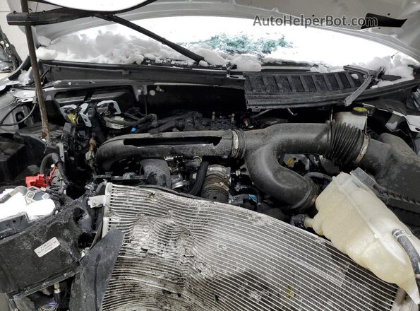 1FMJK1K81REA25802 2024 FORD EXPEDITION Белый 